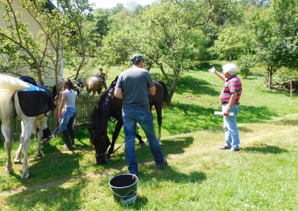 Wanderreiten im Mittelburgenland: Ein Bericht von Edith Leitner. © privat