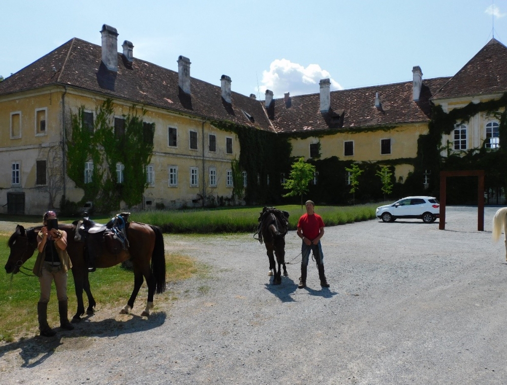 Wanderreiten vom Mittelburgenland in die Steiermark: Ein Bericht von Edith Leitner | Tag 02. © privat