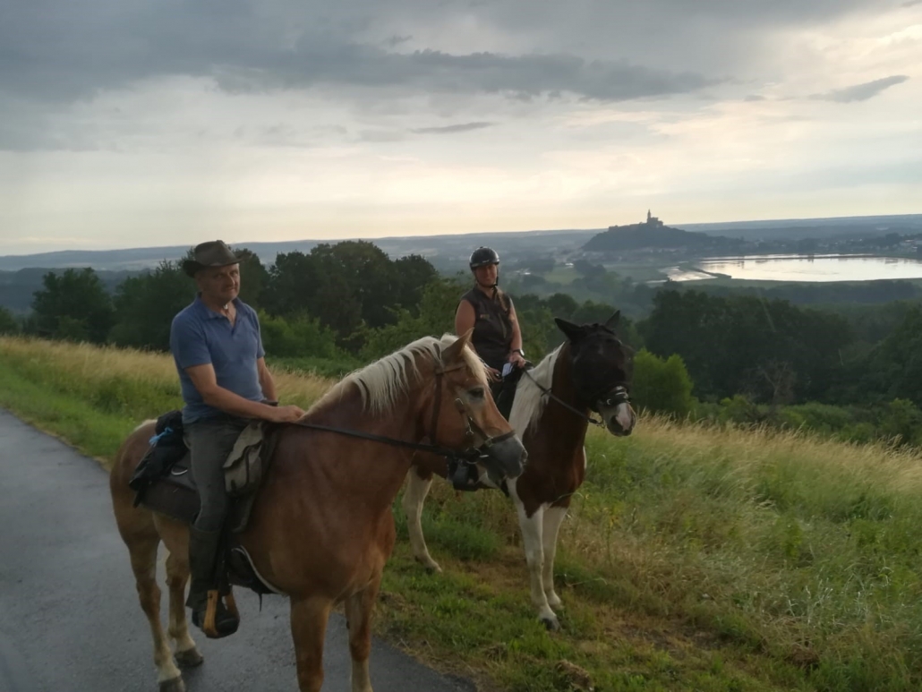 Wanderreiten vom Mittelburgenland in die Steiermark: Ein Bericht von Edith Leitner | Tag 03. © privat