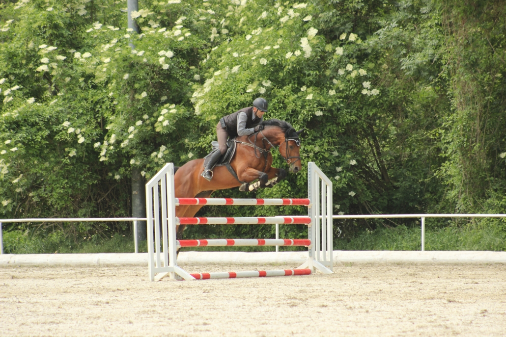2020 wird Dressur-Reittrainer Lukas Ornauer auch den Reittrainer – Springen abschließen. © privat
