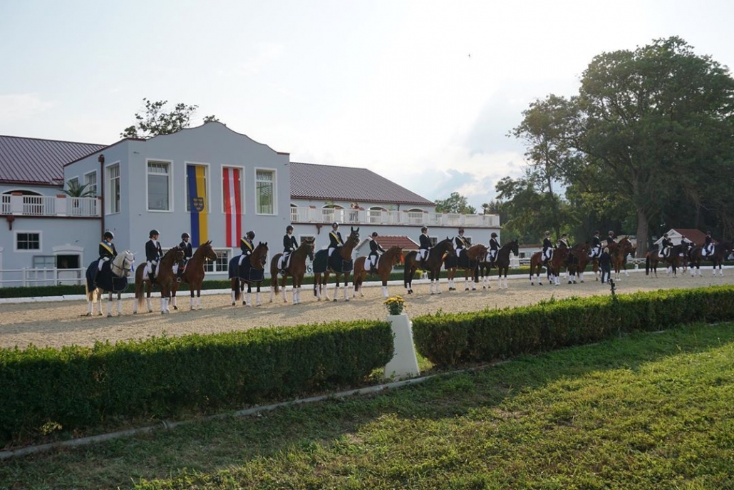 Wir gratulieren den frisch gebackenen Niederösterreichischen Landesmeistern Dressur 2019. © Instagram Reitsportzentrum Kamptal