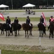 Wir wünschen Islandpferde-Team Austria viel Erfolg bei der WM in Berlin. © privat