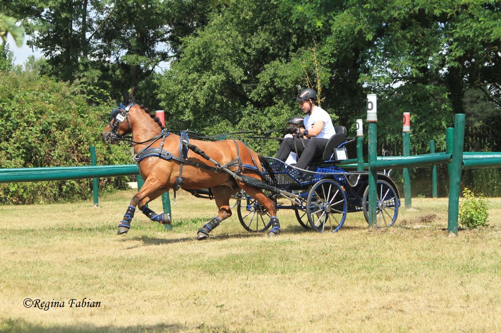 Heiner-Maximilian Wolfsteiner holte den ÖM Titel der Junioren nach Niederösterreich. © Regina Fabian