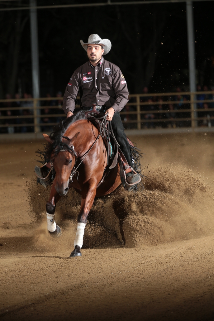 AustrianRHA Futurity & NRHA Show 2019 von 21. bis 24. August in Wiener Neustadt. © Christian Kellner