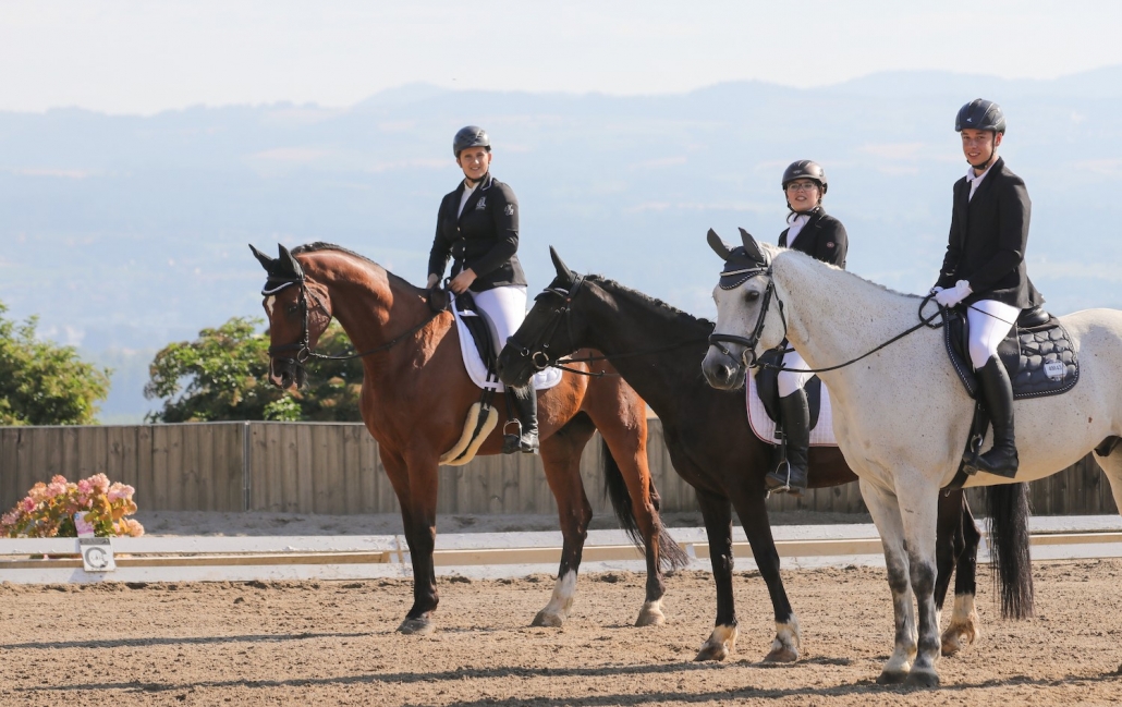 Mit einem CDN-C wird am 15.8. in St. Pantaleon der diesjährige Turnier-Saisonabschluss begangen. © Gut Breitfeld