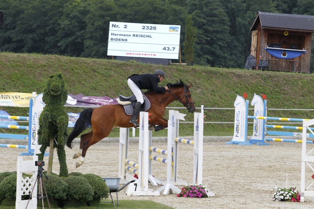 Hahn im Korb in der Riege der NÖ Landesmeister 2019 im Springreiten: Hermann Reischl und Bidens gewinnen in der Klasse der Oldies. © Krisztian Buthi