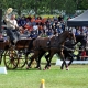 Wahnsinn! Platz 3 im WM-Teilbewerb Kegelfahren für den Niederösterreicher Josef Stickelberger. © Sonja Bauer