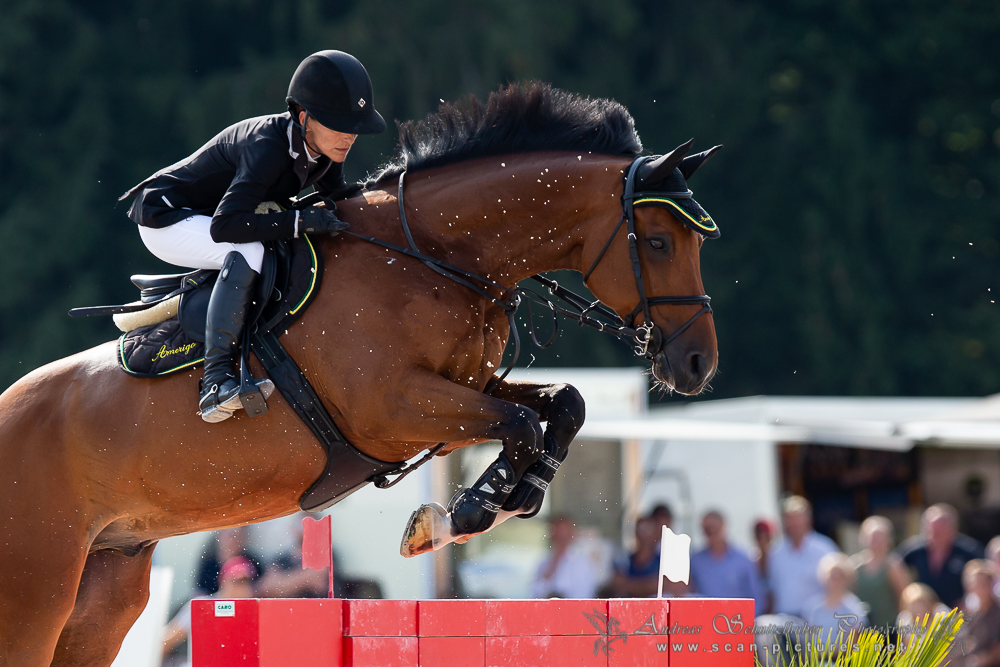 Alice Janout und Quick Shine springen zu Silber bei den ÖSTM Springreiten 2019. © OEPS | Andreas Schnitzlhuber www.scan-pictures.net