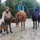 Sitzergonomie mit Vicky Weber im RFV Unteres Traisental. © privat