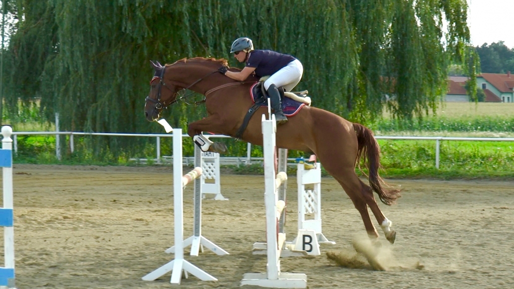 Spannender Reitsport am Kronberghof. © RC Kronberghof