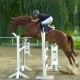 Spannender Reitsport am Kronberghof. © RC Kronberghof