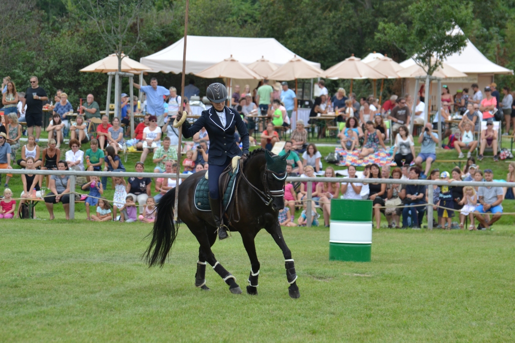 Working Equitation Austria zu Gast beim Pferdefest auf Schloss Hof. © Walter Wurdack | Working Equitation Austria