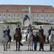 Working Equitation Austria zu Gast beim Pferdefest auf Schloss Hof. © Walter Wurdack | Working Equitation Austria