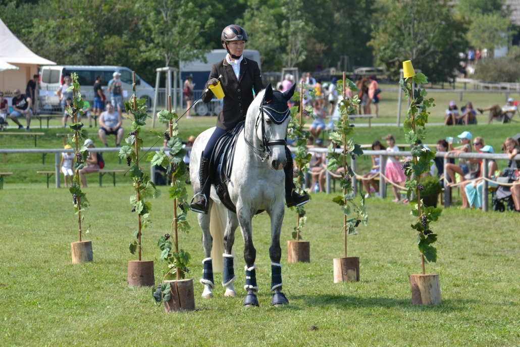 Working Equitation Austria zu Gast beim Pferdefest auf Schloss Hof. © Walter Wurdack | Working Equitation Austria