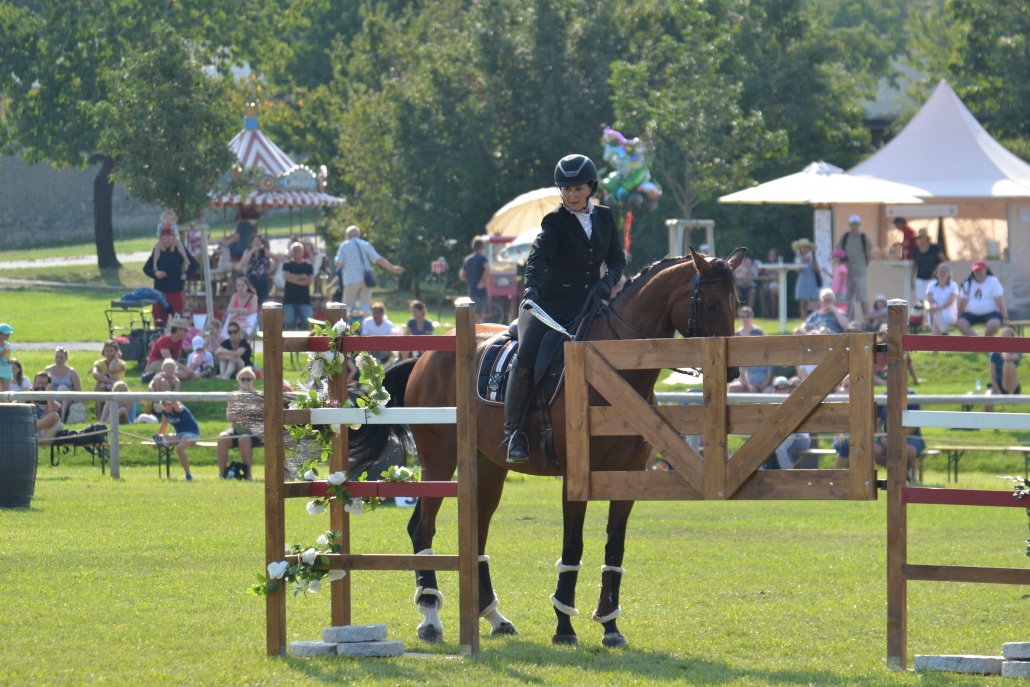 Working Equitation Austria zu Gast beim Pferdefest auf Schloss Hof. © Walter Wurdack | Working Equitation Austria