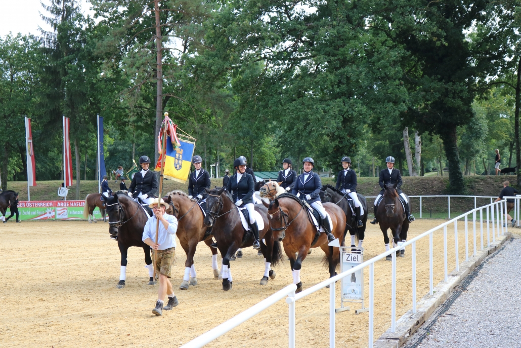 Festlicher Einzug von Niederösterreichs Noriker-Reitern bei den BM in Stadl Paura. © Kathi Koch