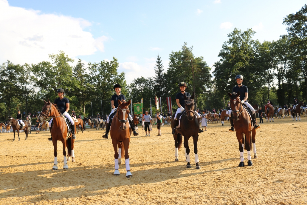 Tolle Erfolge für Niederösterreichs Warmblutreiter in Stadl Paura. © Kathi Koch