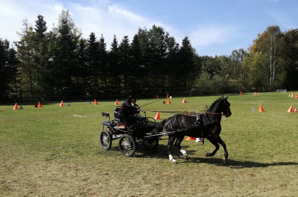 Impressionen vom Fahrertreffen in Heidenreichstein. © privat