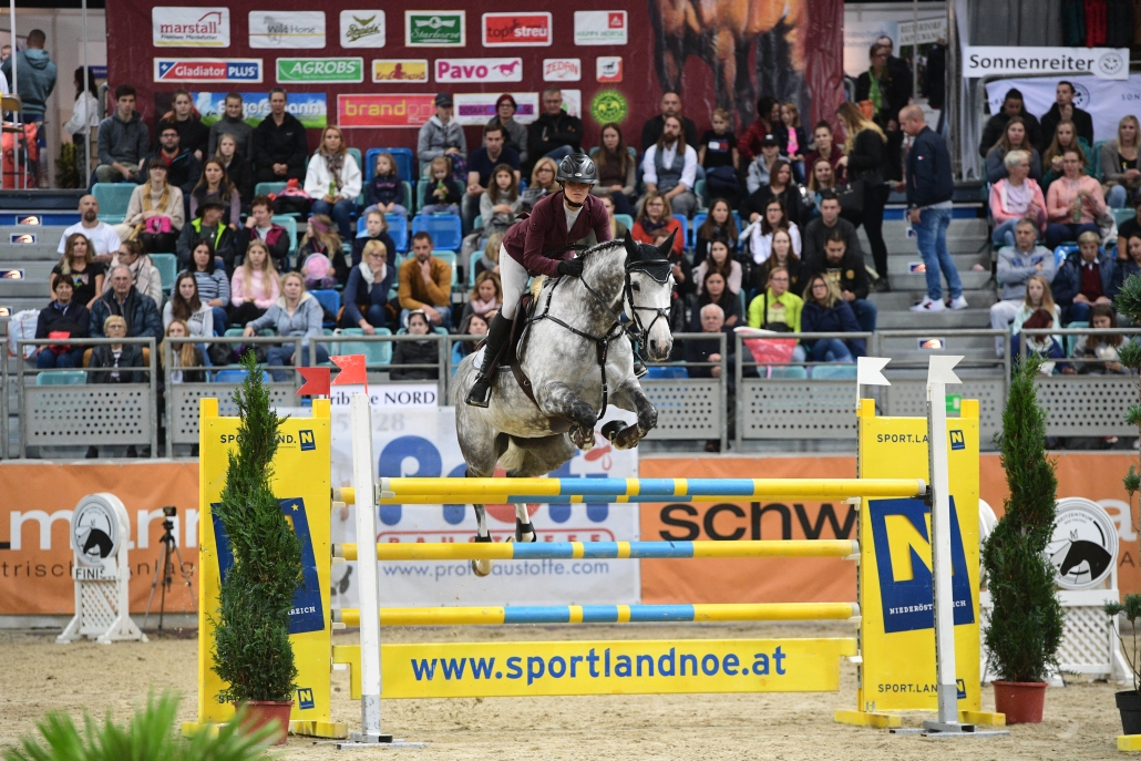 Beste Niederösterreicherin im Ranking Springen des EY Cup Finales (1,45 m) war Magdalena Margreiter auf Chamorka mit Platz 4. © HORSIC.com
