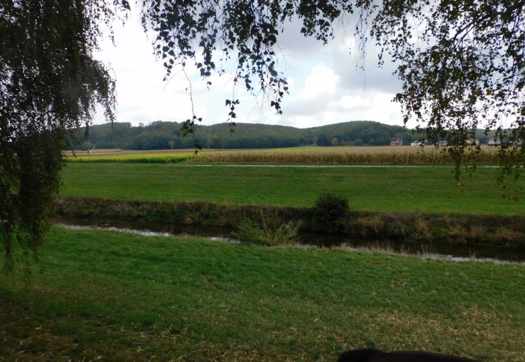 Im Überschwemmungsbecken der Perschling ziehen wir unsere Spur bis Kapelln.