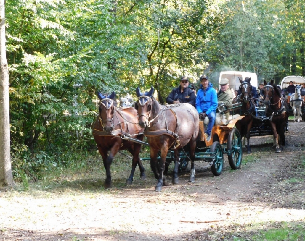Pünktlich kommen aus allen Richtungen Ein- und Zweispänner, Reiter und Spaziergänger.