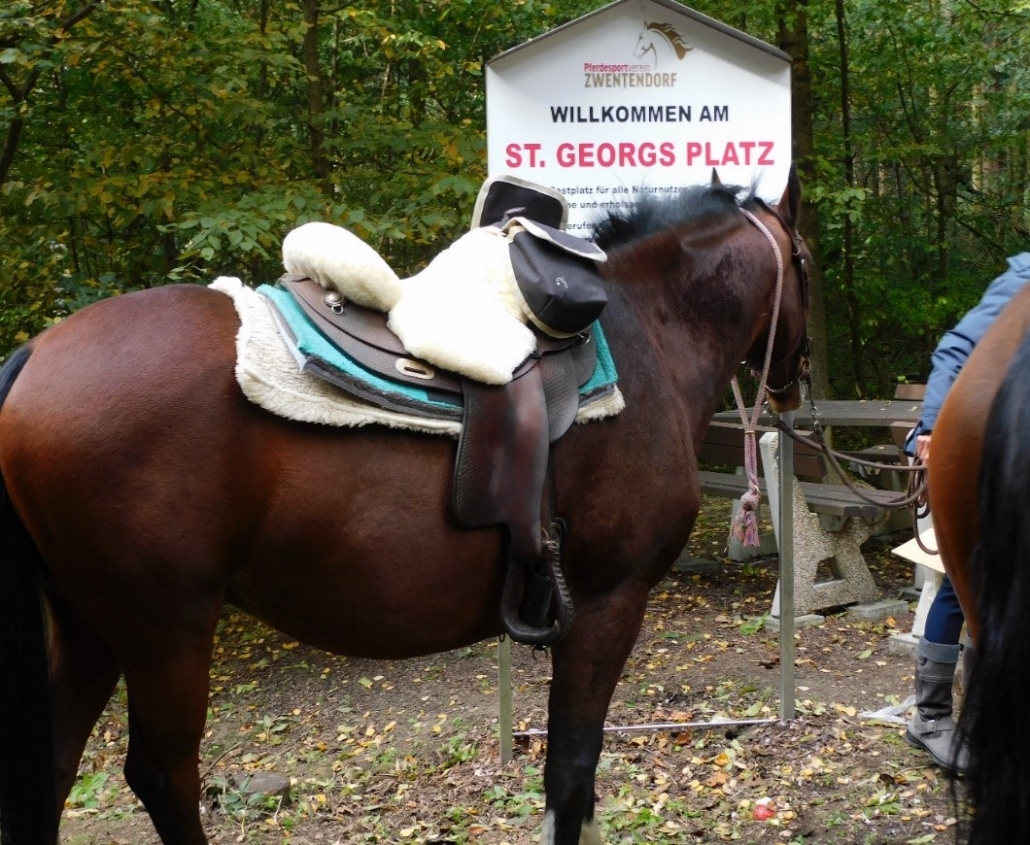 Tschüß St. Georgs Platz, Tschüß Peter.