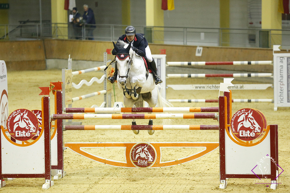 Happy Horse-Teamreiter Willi Fischer und Dollargirl. © Team Myrtill