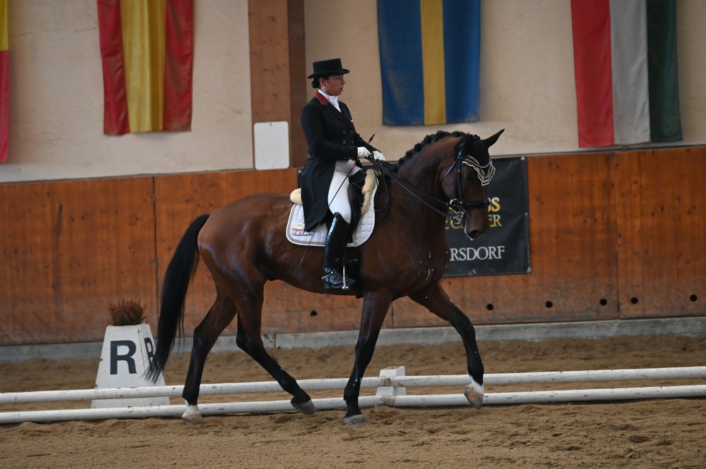 Platz 3 für Tamara Brandner und My Johnson’s Royal im Bartlgut M-Cup. © Istvan Lehoczky 