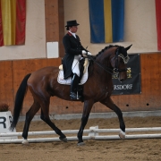 Platz 3 für Tamara Brandner und My Johnson’s Royal im Bartlgut M-Cup. © Istvan Lehoczky