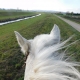 Wanderritt rund um den Leonhardiritt. © privat