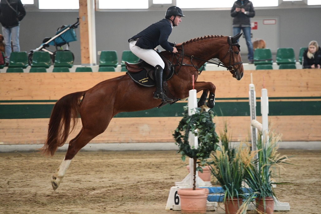 Pilothaga wurde unter Patrick Prömer Racino Herbst-Championesse der fünfjährigen Pferde. © HORSIC.com