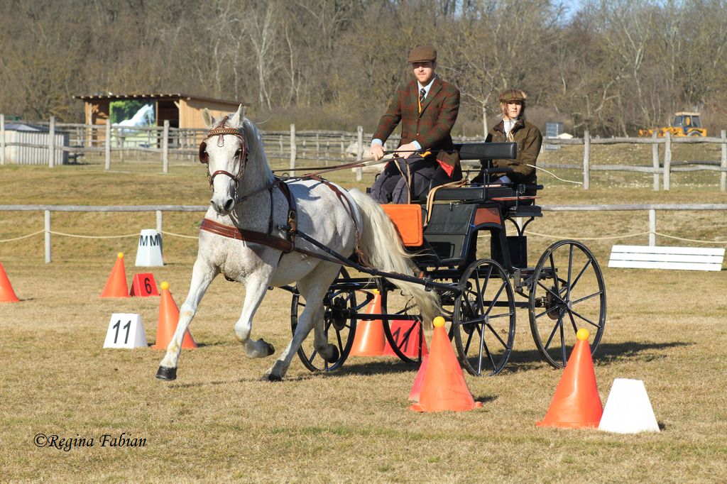 Impressionen vom FEI Fahrkurs. © Regina Fabian