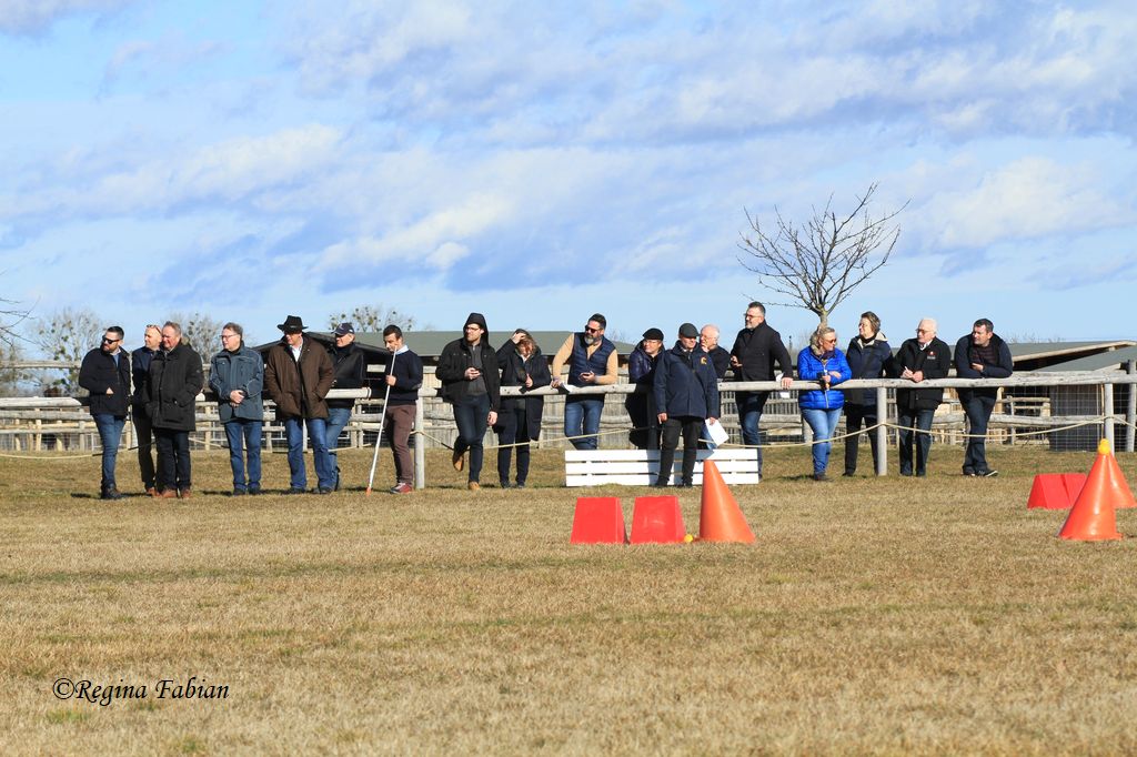 Impressionen vom FEI Fahrkurs. © Regina Fabian
