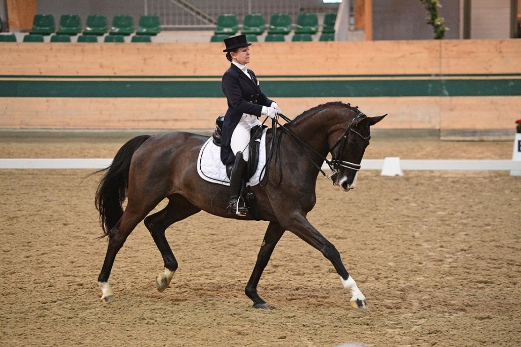 Heimsieg für den Reitclub Magna Racino im Grand Prix am Samstag durch Elena Sidneva und Sacura. © HORSIC.com