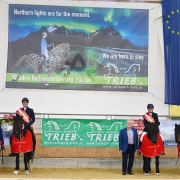 Drei der vier Hallenmeister-Titel gingen bei der Trieb Hallentrophy 2020 an niederösterreichische Islandpferdereiter. © Team Myrtill