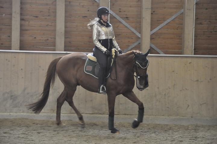 Dressurkurs mit Aimee Kroneder und Johannes Hamminger am Burgstallerhof. © privat