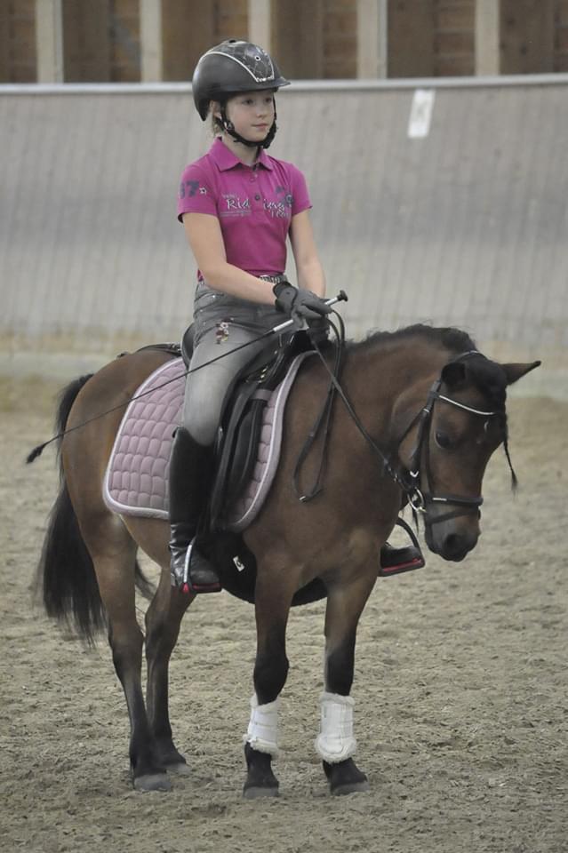 Dressurkurs mit Aimee Kroneder und Johannes Hamminger am Burgstallerhof. © privat