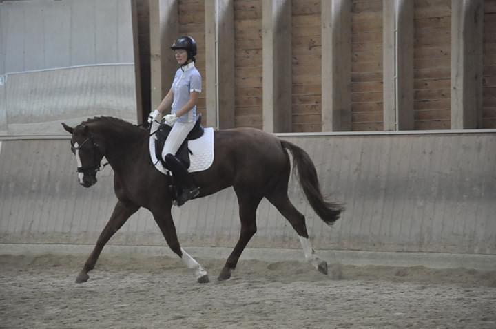 Dressurkurs mit Aimee Kroneder und Johannes Hamminger am Burgstallerhof. © privat