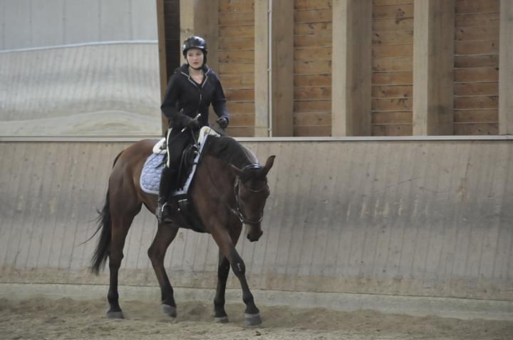 Dressurkurs mit Aimee Kroneder und Johannes Hamminger am Burgstallerhof. © privat