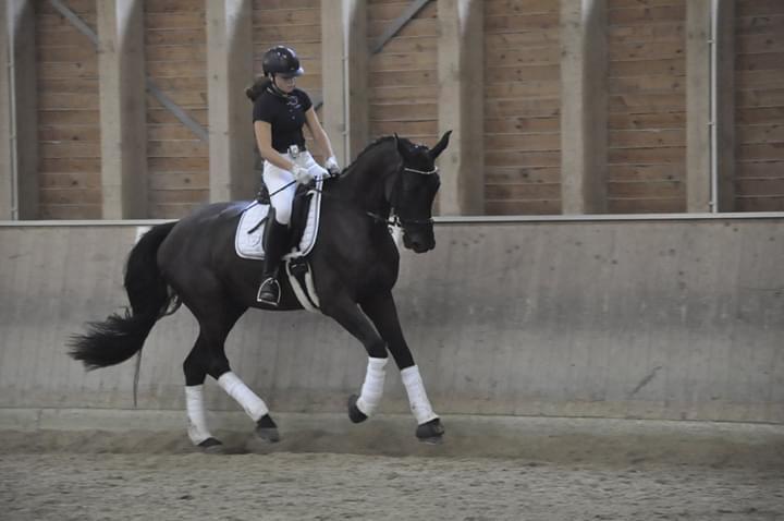 Dressurkurs mit Aimee Kroneder und Johannes Hamminger am Burgstallerhof. © privat