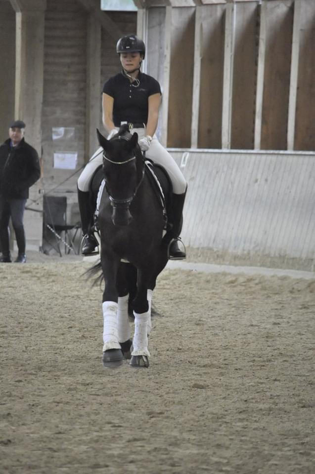 Dressurkurs mit Aimee Kroneder und Johannes Hamminger am Burgstallerhof. © privat