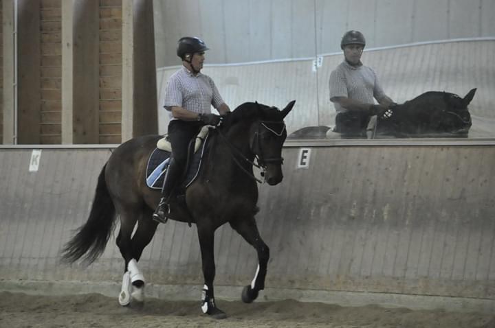 Dressurkurs mit Aimee Kroneder und Johannes Hamminger am Burgstallerhof. © privat