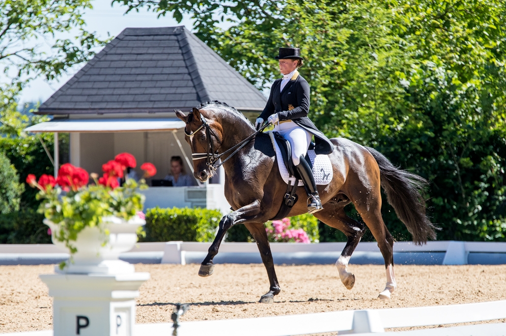 Die sechsfache Olympiasiegerin Isabell Werth mit dem Max-Theurer-Pferd Quantaz. © Michael Rzepa