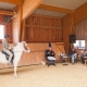 Gerd Heuschmann war am 19. und 20. September im Islandpferdezentrum Forsthof zu Gast um Ausbildungsprobleme des Pferdes mit klassischer Reitlehre und biomechanischem Wissen zu lösen. © Islandpferdezentrum Forsthof