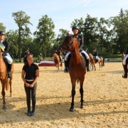 Werner Weber, Charlotte Dobretsberger und Janina Meitz (Ländliche NÖ LM Warmblut Lizenz R2-R4). © Kathi Koch