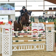 Lisa Schranz und Lacrima von Kükenmoor auf dem Weg zum Sieg im Magna Racino Grand Prix. 8c) HORSIC.com