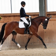 Siegreich in der SLP & der ZSE: Königsweihe (Rheinklang x Interconti). © Michaela Braune