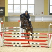Bundeschampion der fünfjährigen Springpferde wurde der in NÖ von Gerhard Wippl gezüchtete Staphael III v. Stakkato Gold unter Lukas Brodtrager (ST). © Team Myrtill