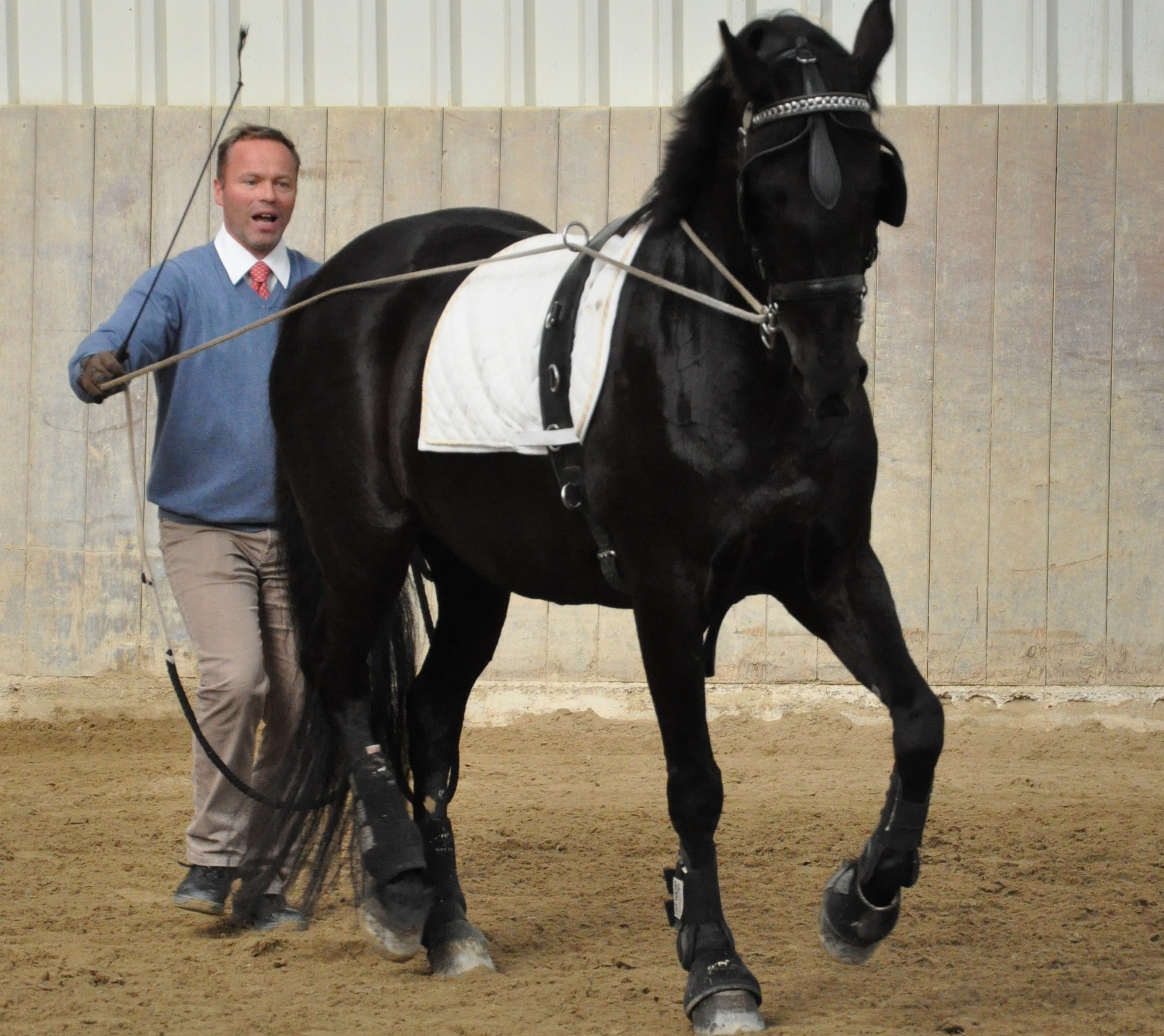 Doppellonge Kurs mit Marco Hildebrand