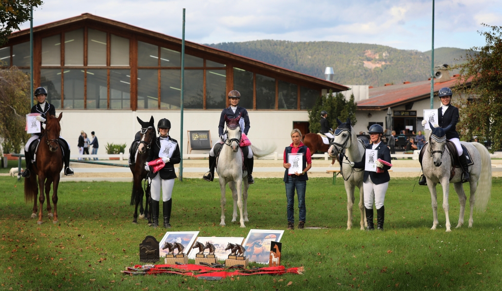 Die VVÖ Dressur Meisterschaft fand von 10.-11. Oktober im High Class Horse Center in Weikersdorf statt. © Susanne Werth-Hofbauer